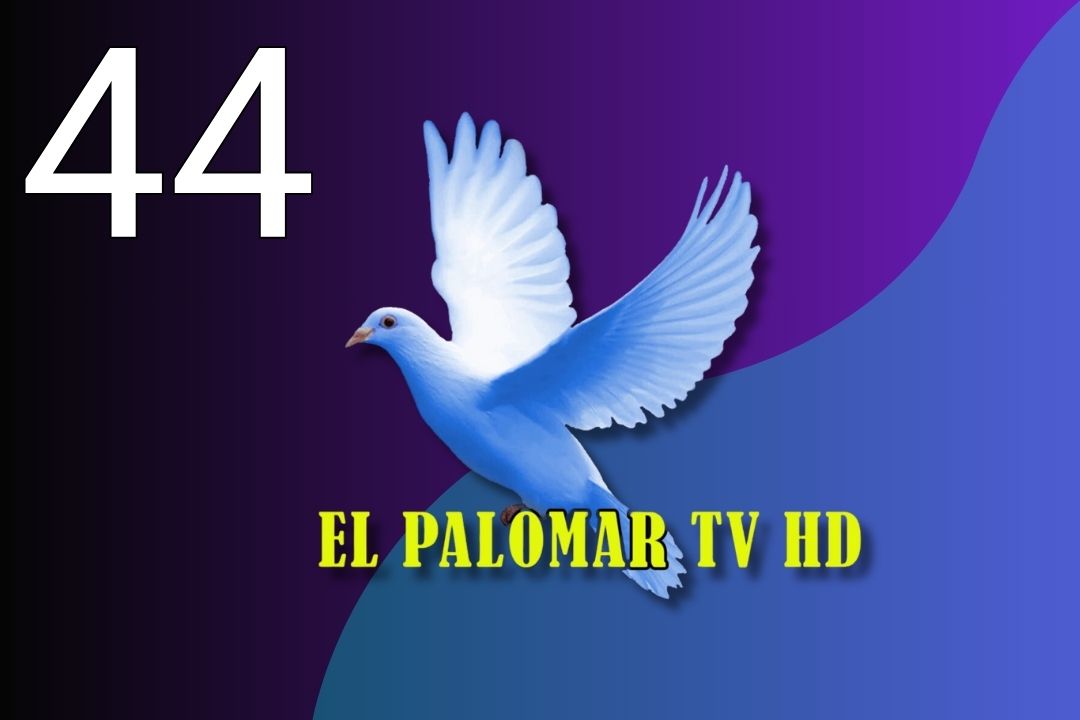 El Palomar TV