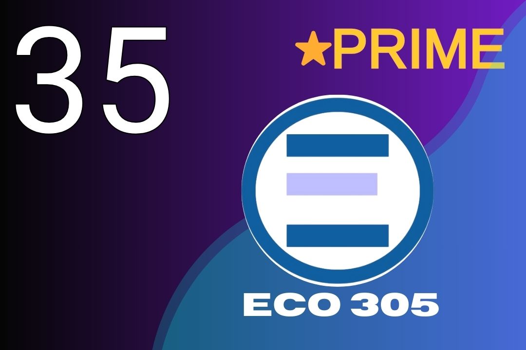 Eco 305
