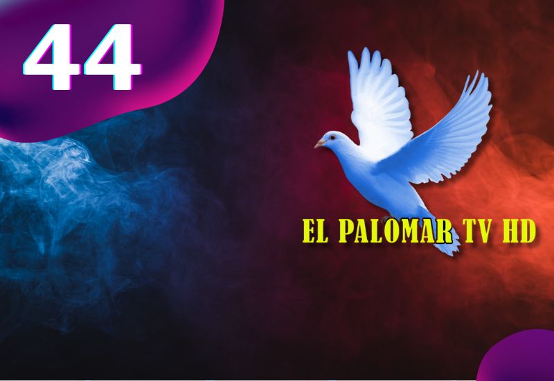 44 - El Palomar TV